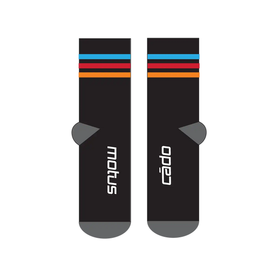 Triathlon Performance socks